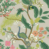 Peacock Wallpaper Wallpaper Rifle Paper Co. Double Roll Linen 