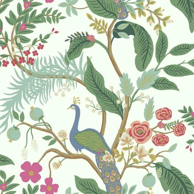 Peacock Wallpaper Wallpaper Rifle Paper Co. Double Roll Rouge 