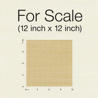 Palette Wallpaper Wallpaper Rifle Paper Co.   