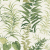 Fern Forest Wall Mural Wall Mural York Each Vintage Green 