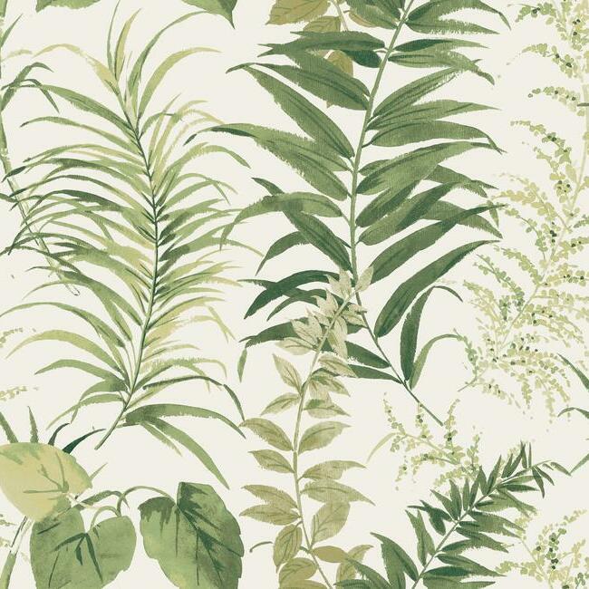 Fern Forest Wall Mural Wall Mural York Each Vintage Green 