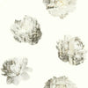 Double Exposure Wallpaper Wallpaper York Double Roll Pearl/Neutral 