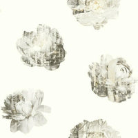 Double Exposure Wallpaper Wallpaper York Double Roll Pearl/Neutral 