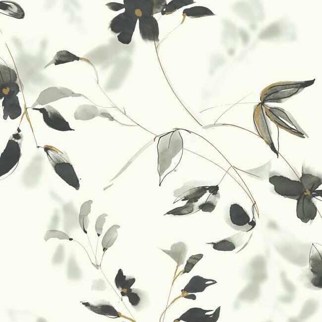 Linden Flower Wallpaper Wallpaper Candice Olson Double Roll Black 