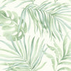 Paradise Palm Wallpaper Wallpaper Candice Olson Double Roll Aloe 