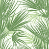 Palmetto Wallpaper Wallpaper York Double Roll Green 