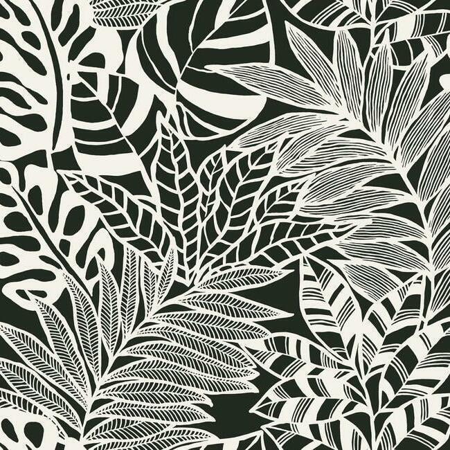 Jungle Leaves Wallpaper Wallpaper York Double Roll Black & White 