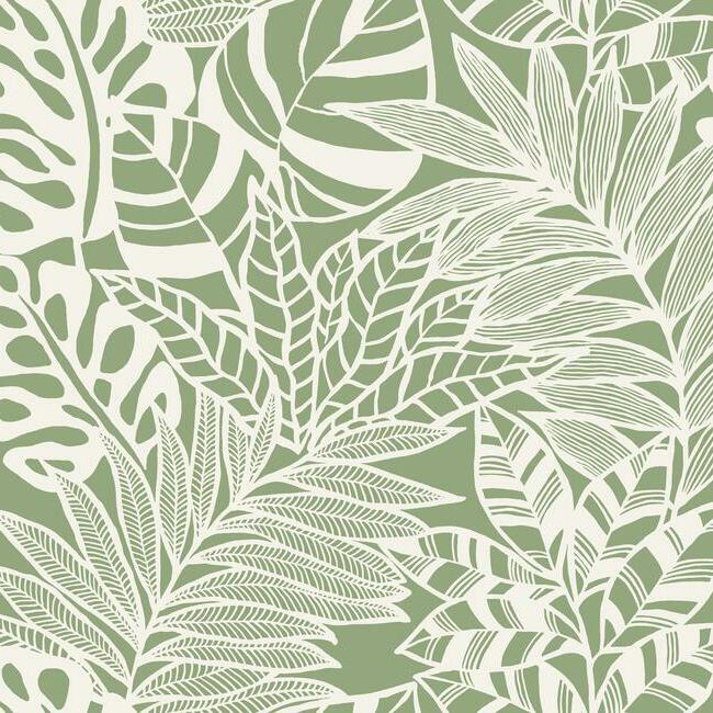 Jungle Leaves Wallpaper Wallpaper York Double Roll Green 