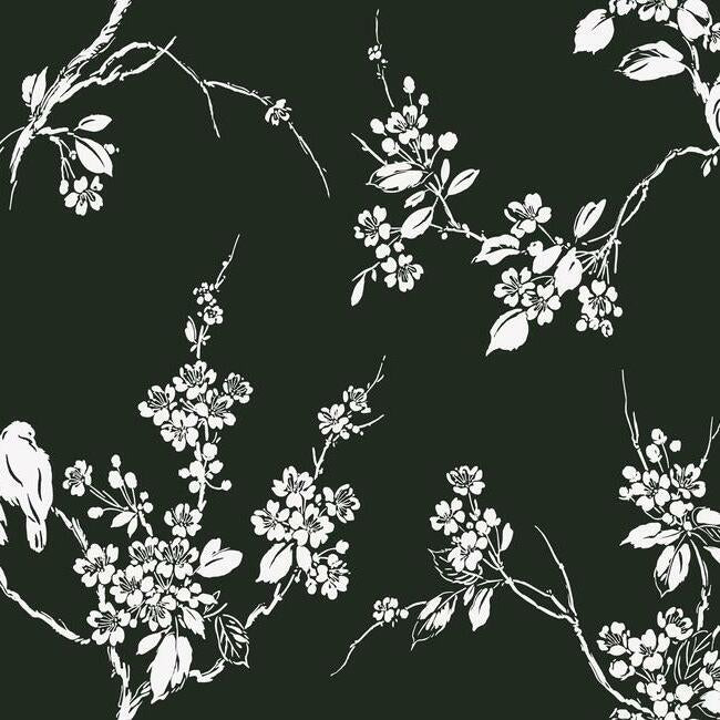 Imperial Blossoms Branch Wallpaper Wallpaper York Double Roll Black & White 