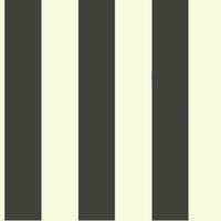 Awning Stripe Wallpaper Wallpaper Magnolia Home Double Roll Black 