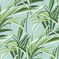 Tropical Paradise Wallpaper Wallpaper York Double Roll Green/Teal 