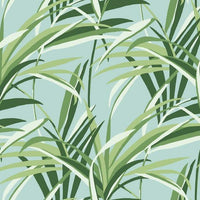 Tropical Paradise Wallpaper Wallpaper York