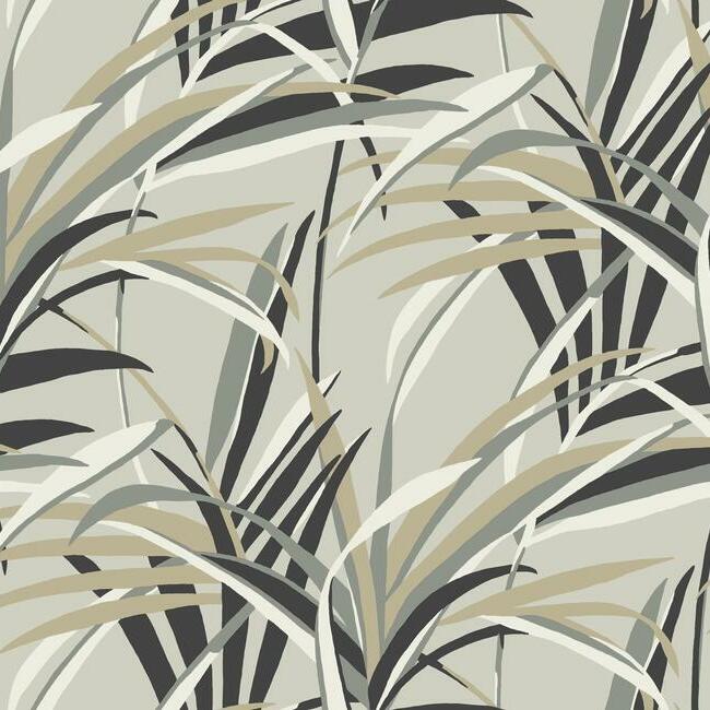 Tropical Paradise Wallpaper Wallpaper York Double Roll Neutrals/Taupe 