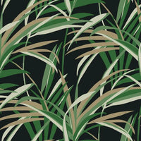Tropical Paradise Wallpaper Wallpaper York Double Roll Greens/Black 
