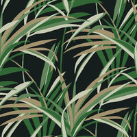 Tropical Paradise Wallpaper Wallpaper York Double Roll Greens/Black 
