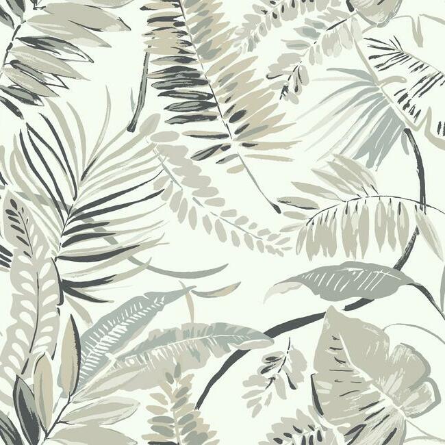 Tropical Toss Wallpaper Wallpaper York Double Roll White/Neutrals 