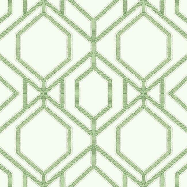 Sawgrass Trellis Wallpaper Wallpaper York Double Roll Green 