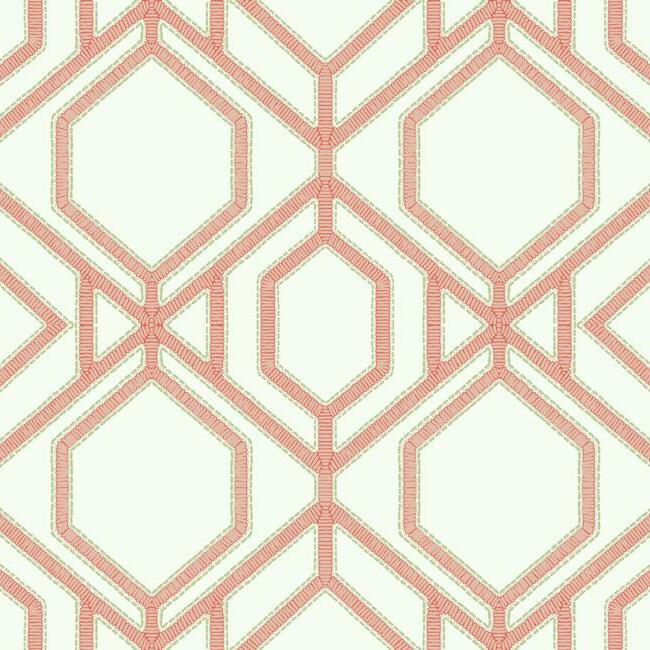Sawgrass Trellis Wallpaper Wallpaper York Double Roll Coral 
