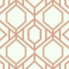 Sawgrass Trellis Wallpaper Wallpaper York Double Roll Coral 
