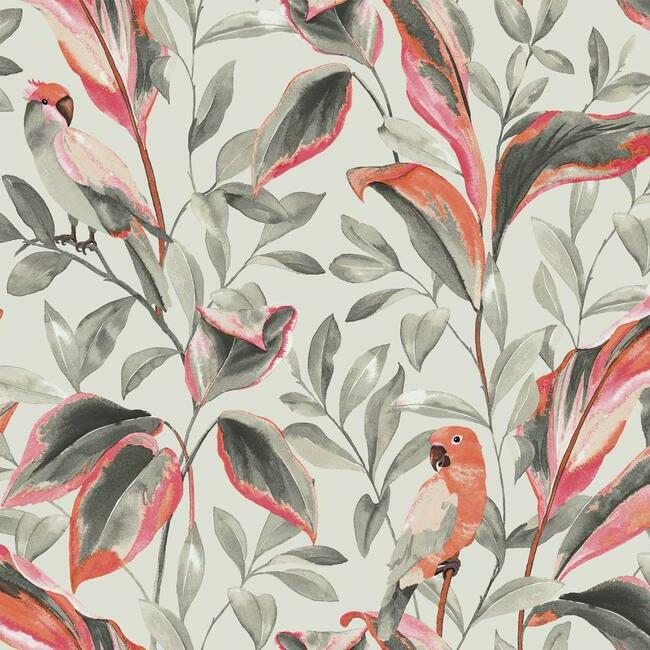 Tropical Love Birds Wallpaper Wallpaper York Double Roll Grey 