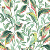 Tropical Love Birds Wallpaper Wallpaper York Double Roll White/Coral 
