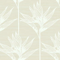 Bird Of Paradise Wallpaper Wallpaper York Double Roll White 