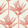 Bird Of Paradise Wallpaper Wallpaper York Double Roll Coral 