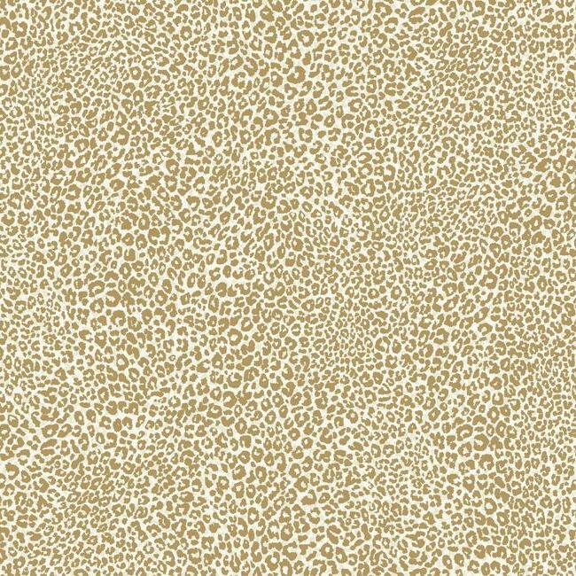 Leopard King Wallpaper Wallpaper York Double Roll Gold 