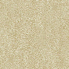 Leopard King Wallpaper Wallpaper York