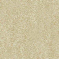 Leopard King Wallpaper Wallpaper York