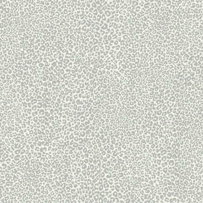 Leopard King Wallpaper Wallpaper York Double Roll Grey 