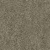 Leopard King Wallpaper Wallpaper York Double Roll Brown 