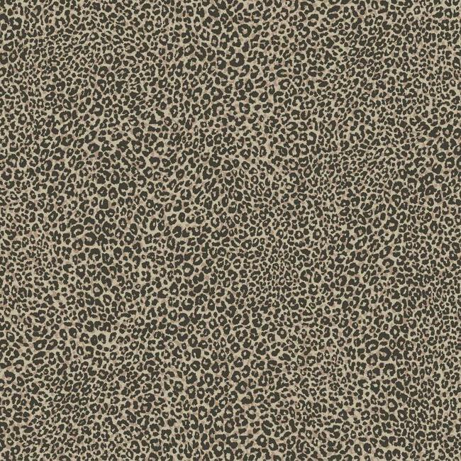 Leopard King Wallpaper Wallpaper York Double Roll Brown 