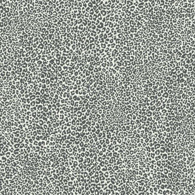 Leopard King Wallpaper Wallpaper York Double Roll Charcoal 