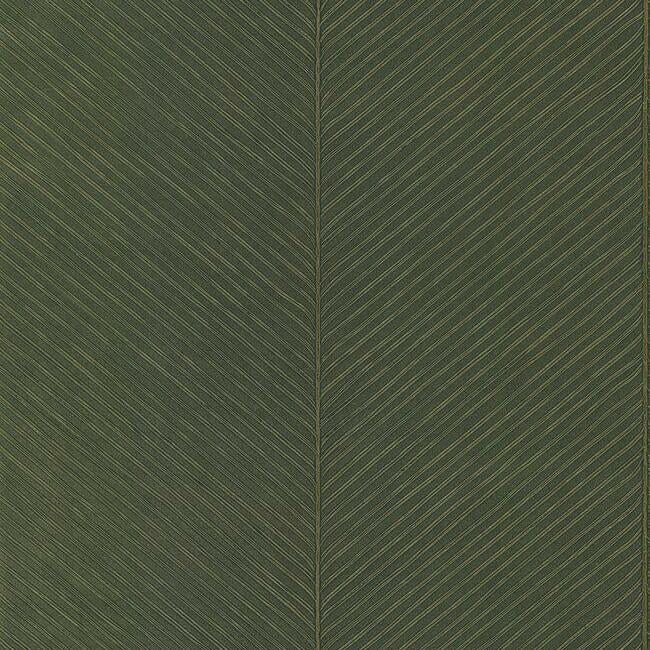Palm Chevron Wallpaper Wallpaper York Double Roll Green/Gold 