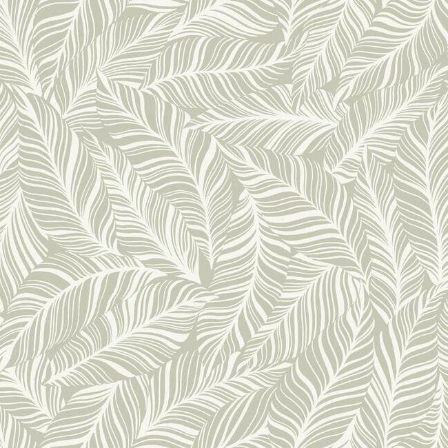 Rainforest Canopy Wallpaper Wallpaper York Double Roll Glint 