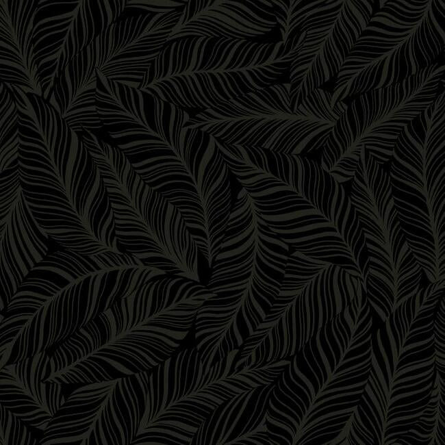 Rainforest Canopy Wallpaper Wallpaper York Double Roll Black 