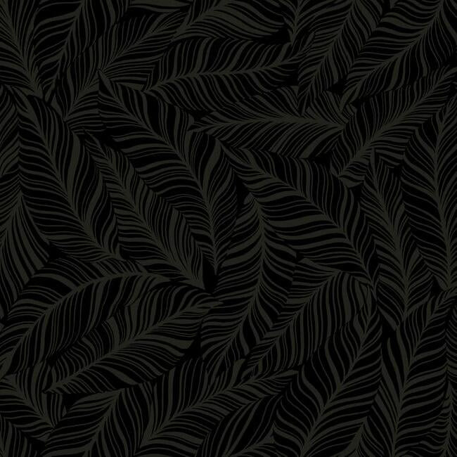 Rainforest Canopy Wallpaper Wallpaper York Double Roll Black 