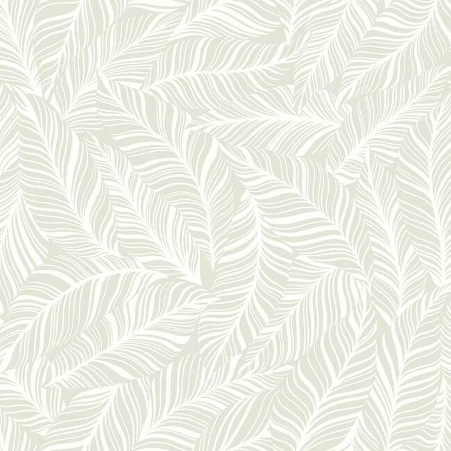 Rainforest Canopy Wallpaper Wallpaper York Double Roll Pearl 