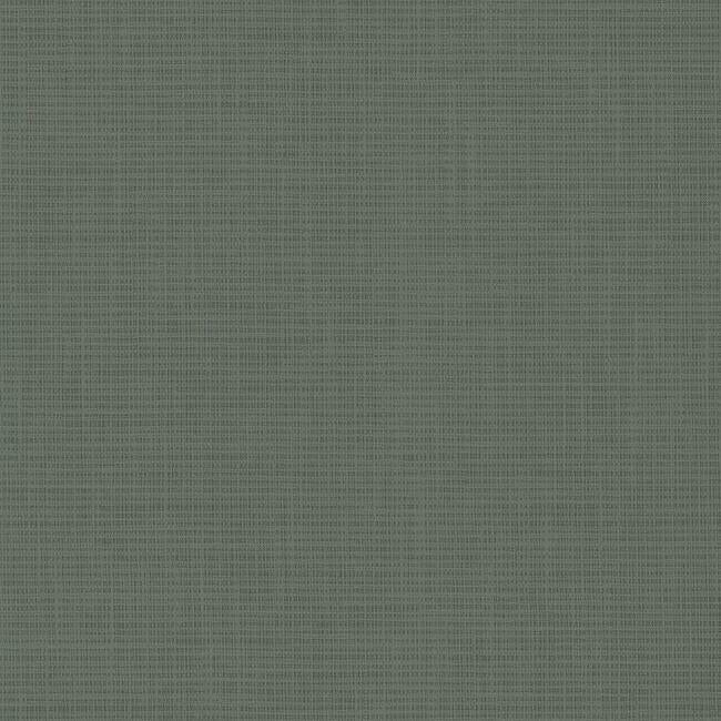 Hessian Weave High Performance Wallpaper High Performance Wallpaper York Double Roll Cyberspace 