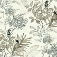 Handpainted Songbird Wallpaper Wallpaper York Double Roll Charcoal 