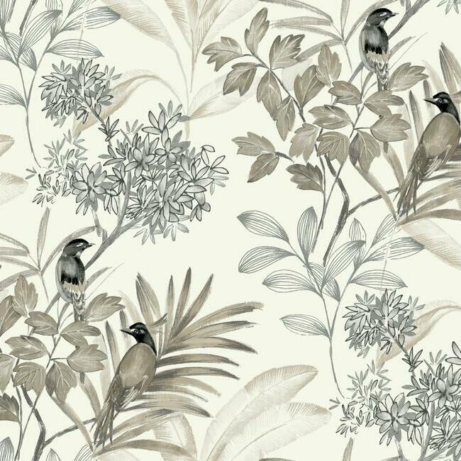 Handpainted Songbird Wallpaper Wallpaper York Double Roll Charcoal 