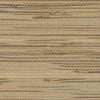 River Grass Wallpaper Wallpaper York Double Roll Neutral / Beige 