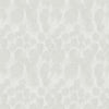 Feathers Wallpaper Wallpaper Antonina Vella   