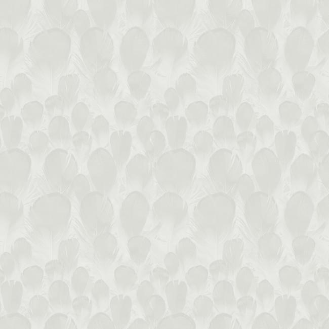Feathers Wallpaper Wallpaper Antonina Vella   