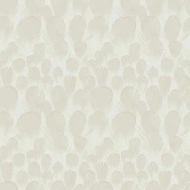 Feathers Wallpaper Wallpaper Antonina Vella Double Roll Cream 
