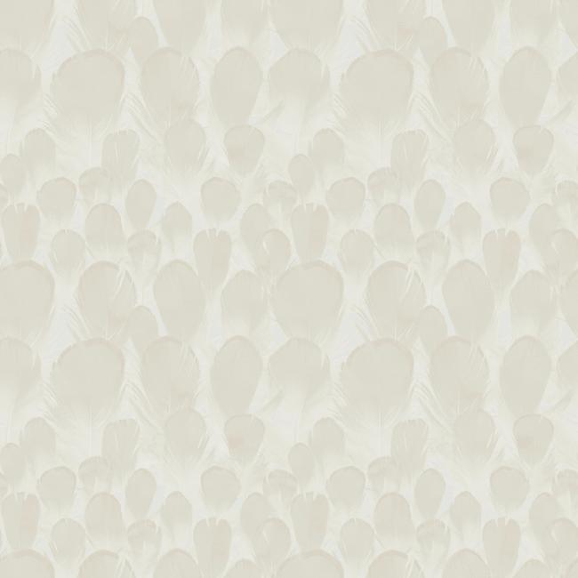 Feathers Wallpaper Wallpaper Antonina Vella Double Roll Cream 