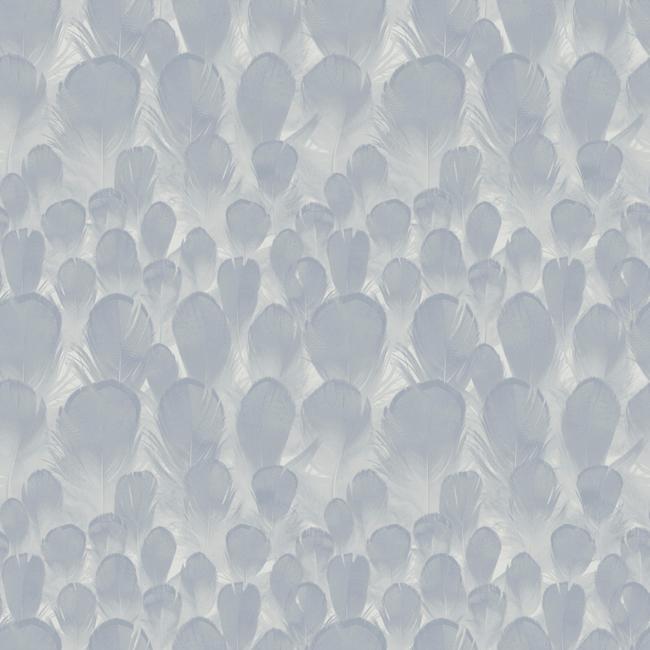 Feathers Wallpaper Wallpaper Antonina Vella   