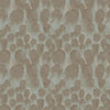 Feathers Wallpaper Wallpaper Antonina Vella Double Roll Brown/Turquoise 