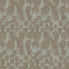 Feathers Wallpaper Wallpaper Antonina Vella Double Roll Brown/Turquoise 